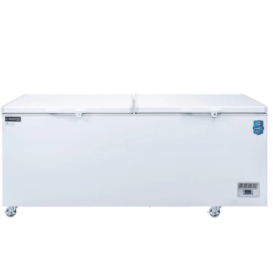 BD/BG-620 Commercial Chest Freezer